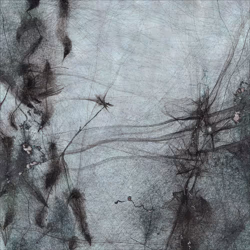 Item #346742519 Media