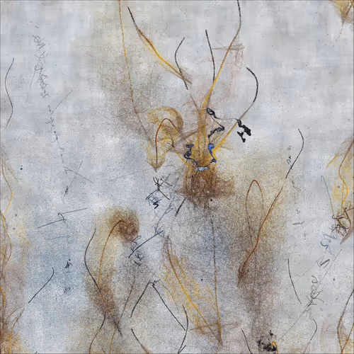 Item #3501293600 Media