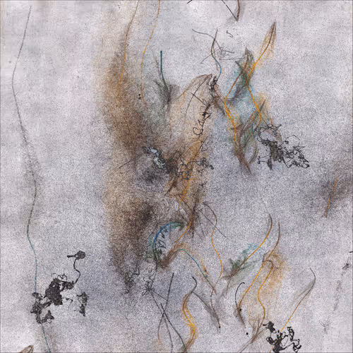 Item #2285965771 Media