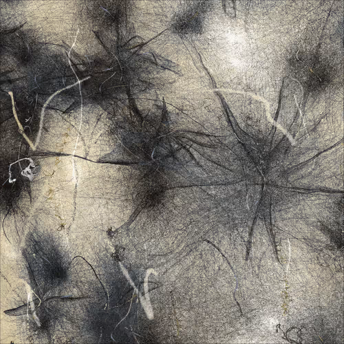 Item #1055710417 Media