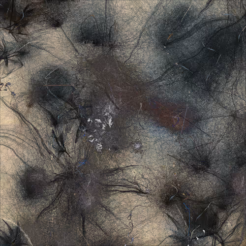 Item #435692443 Media