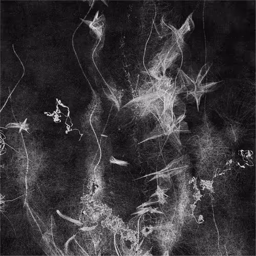 Item #568743177 Media