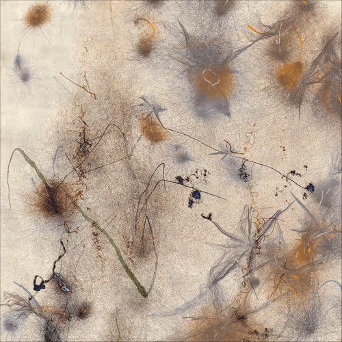 Item #256502703 Media