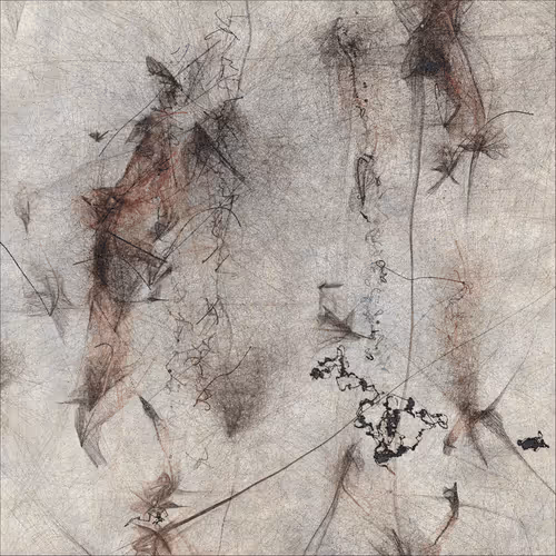 Item #1244170066 Media