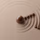 Zen Gardens