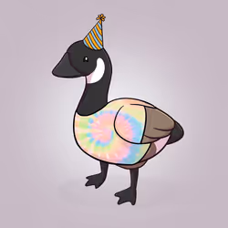 Honk #1984