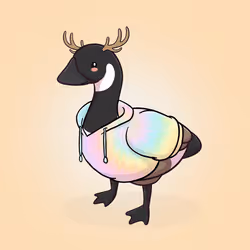 Honk #4941