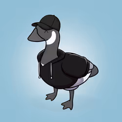 Honk #4339