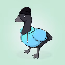 Honk #2850