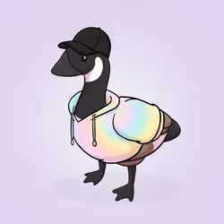 Honk #3655