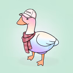 Honk #3881