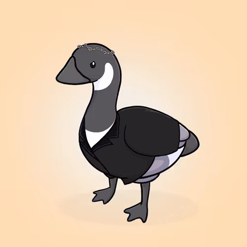 Honk #4906