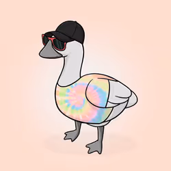 Honk #4239