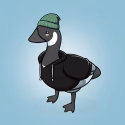 Honk #4773