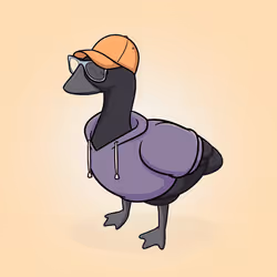 Honk #4135