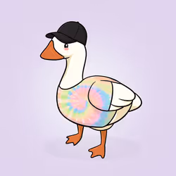 Honk #892