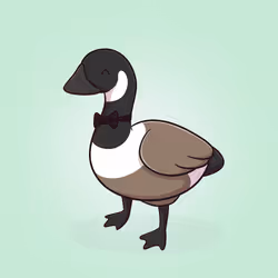 Honk #800