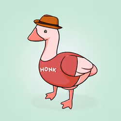 Honk #2003