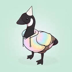Honk #2009