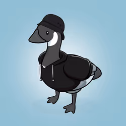Honk #4491