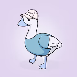 Honk #2217