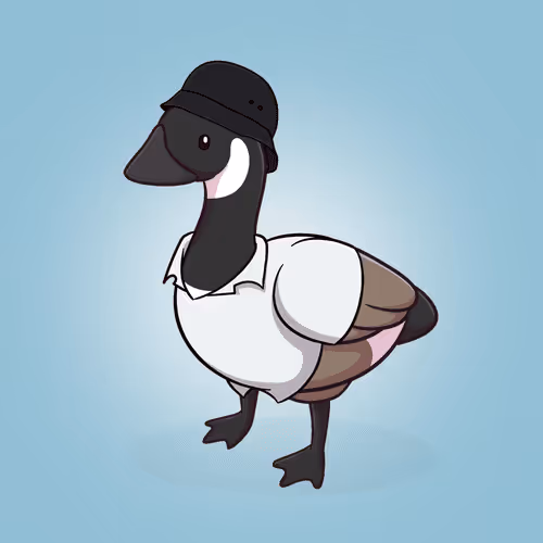 Honk #113
