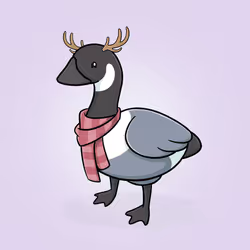 Honk #627