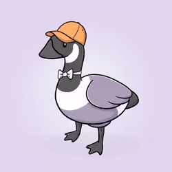 Honk #3630