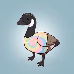 Honk #4012