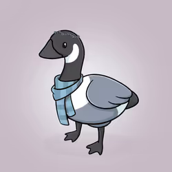 Honk #5436
