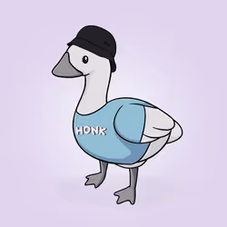Honk #803