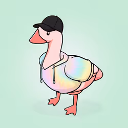 Honk #388