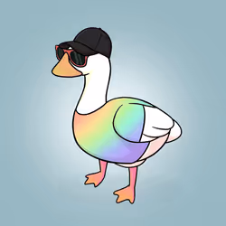Honk #2215