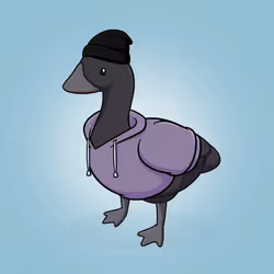 Honk #1077