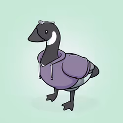 Honk #354