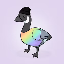 Honk #2855