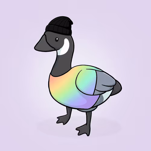 Honk #2855
