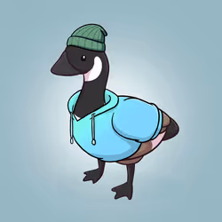Honk #3573