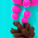 JELLY BEAN PLANT