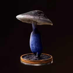 Fungi #1407