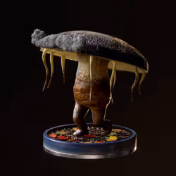 Fungi #6606