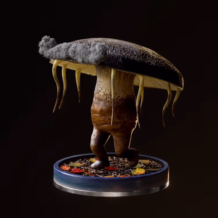 Fungi #6606