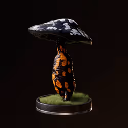 Fungi #9311