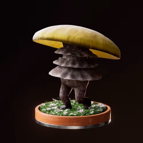Item #3033 Media