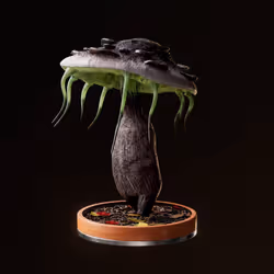 Fungi #7754