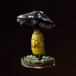 Fungi #7527
