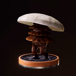 Fungi #1795