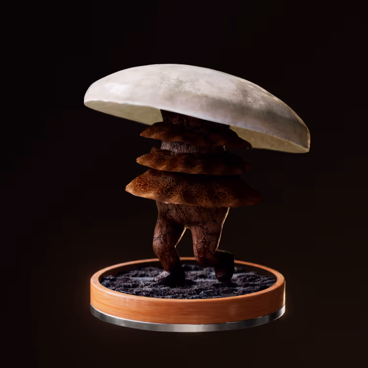 Fungi #1795
