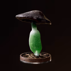 Fungi #4058