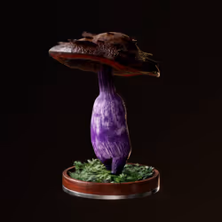 Fungi #2970